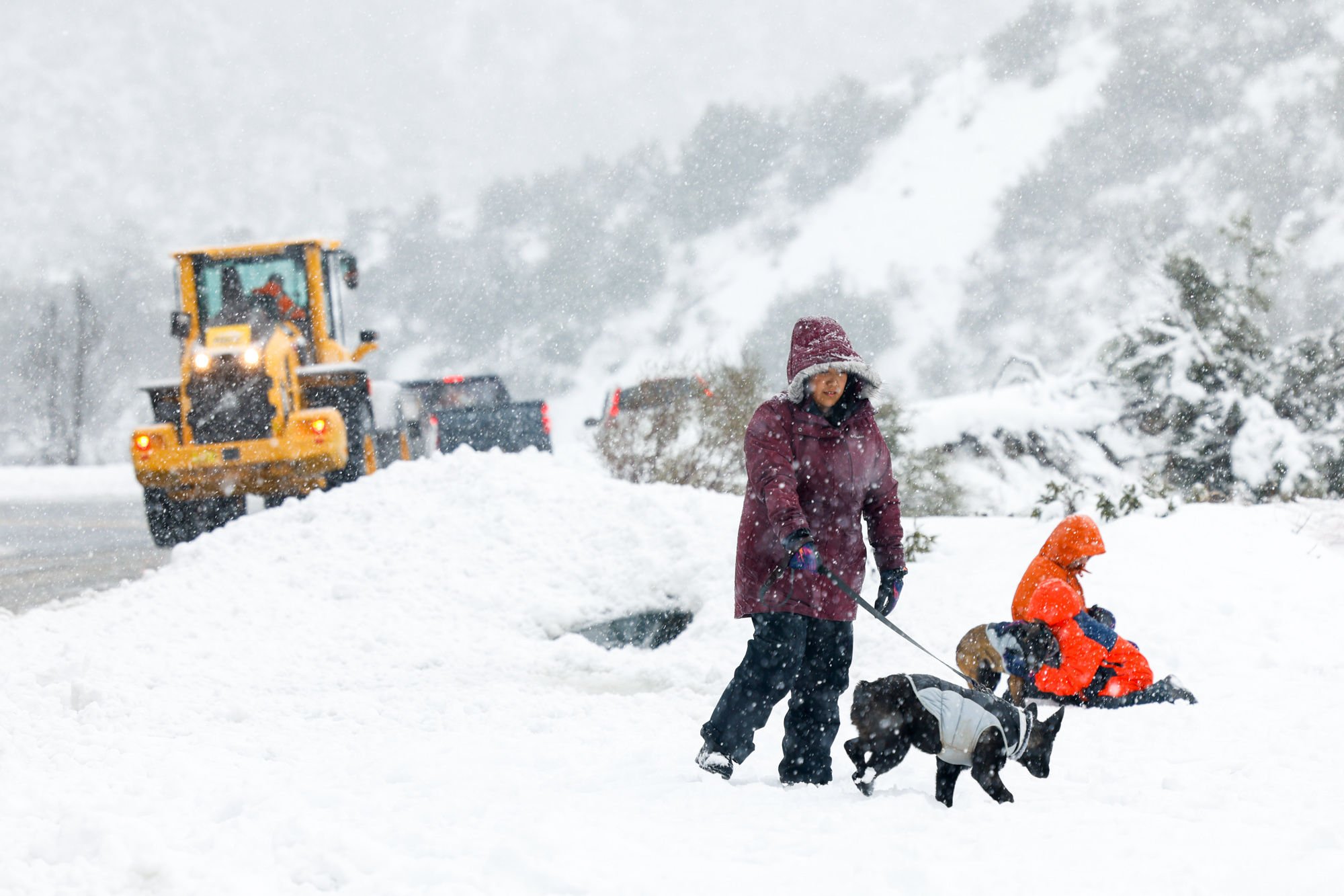Snowstorm On The Way - Vimarsana News