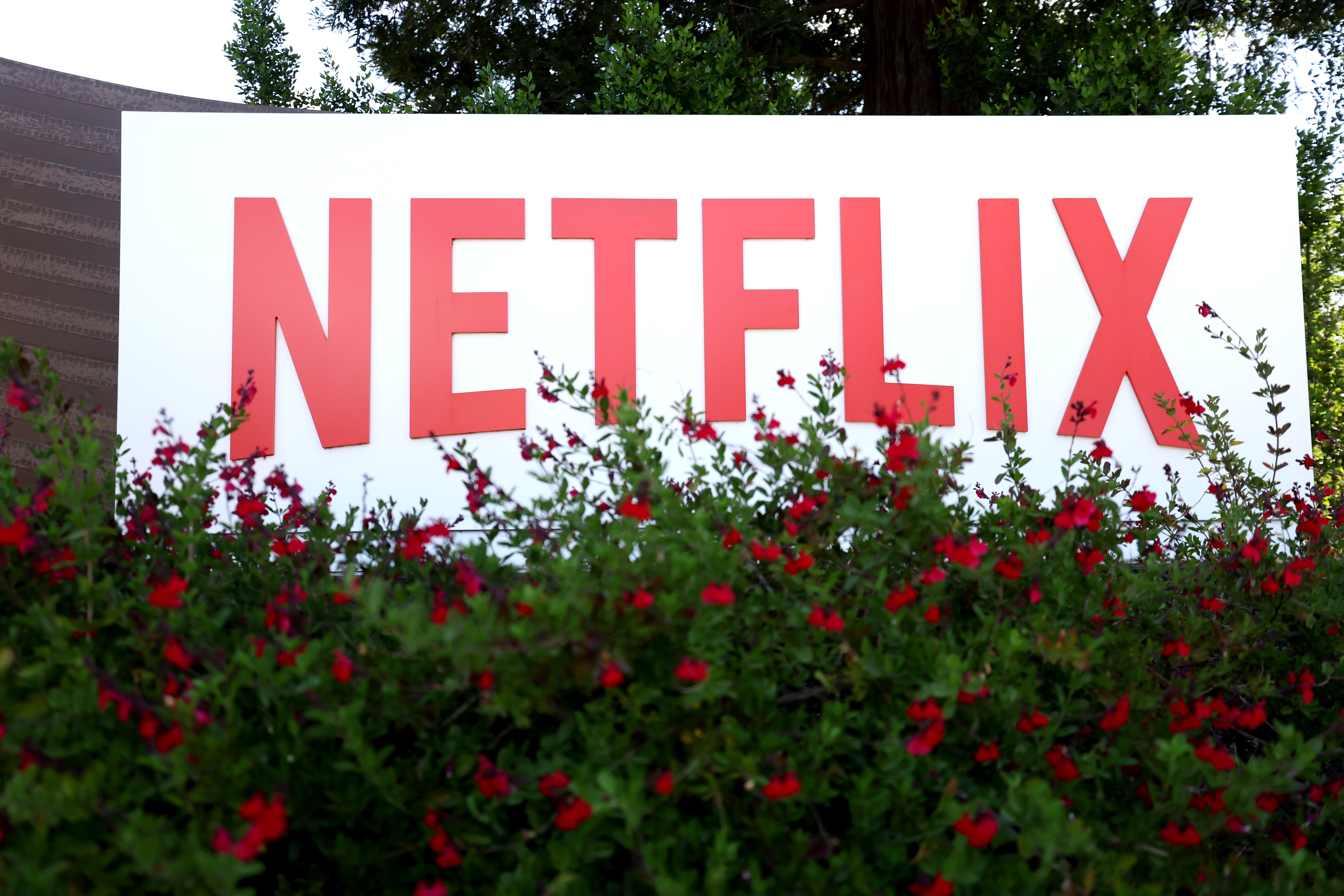 Netflix's New Direction - Vimarsana News