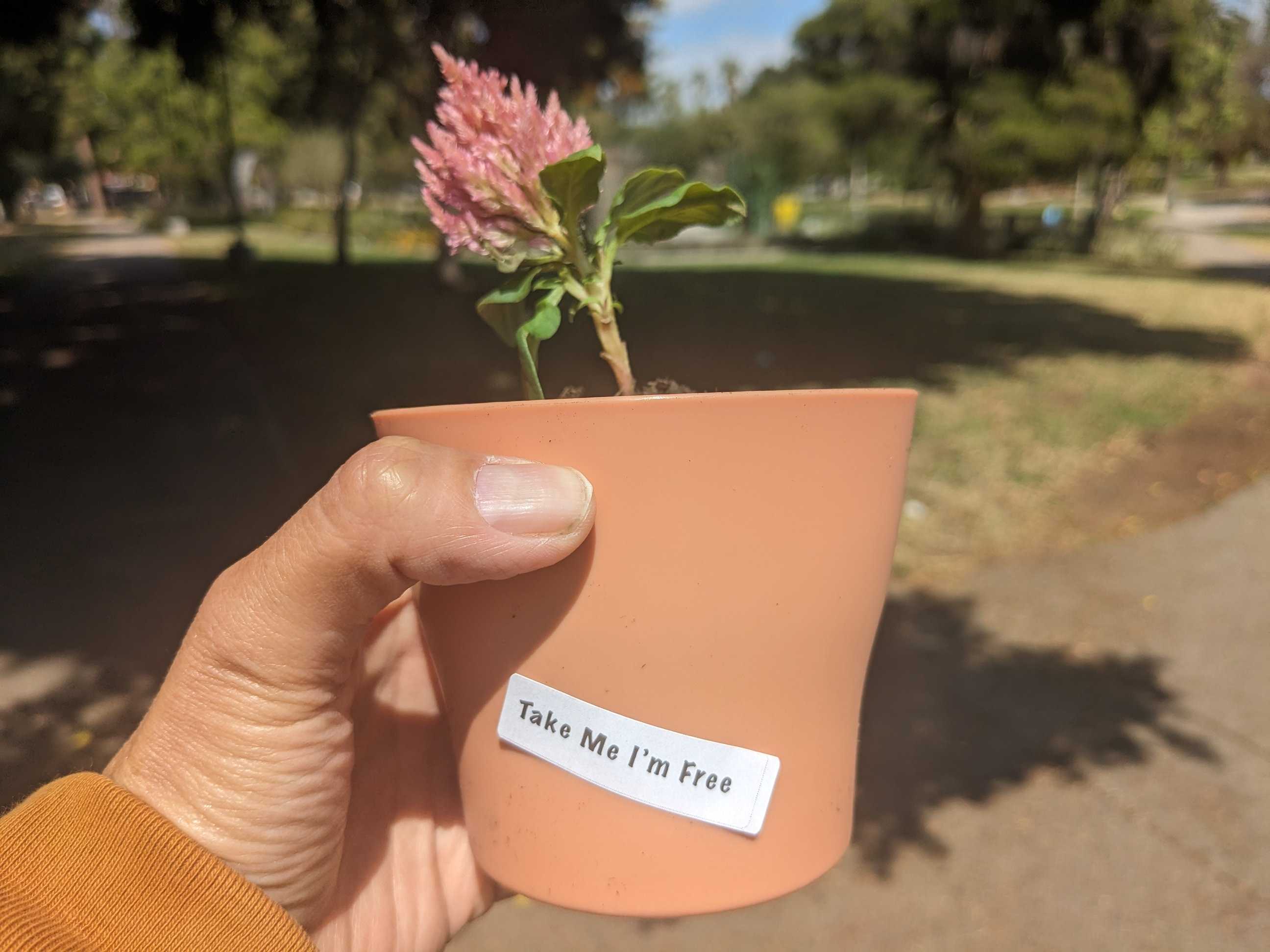 'Take Me I'm Free." Finding Surprises And Moments Of Delight In Los Angeles - Vimarsana News